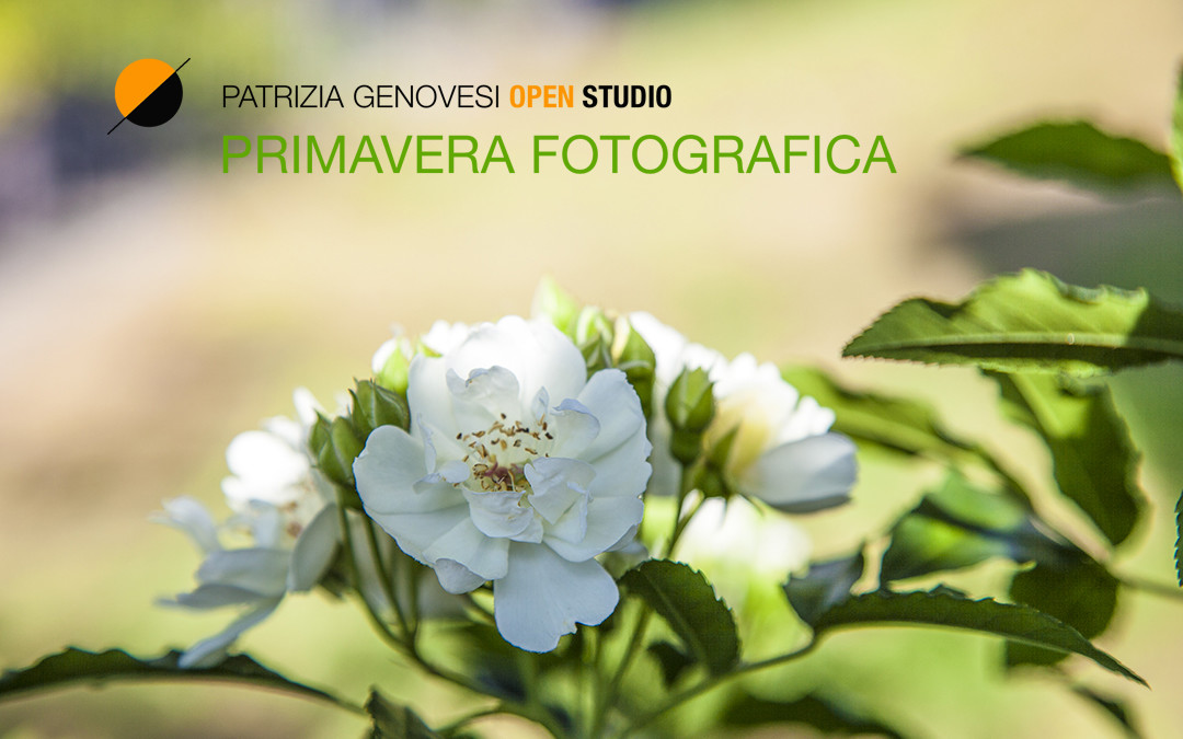 Primavera Fotografica