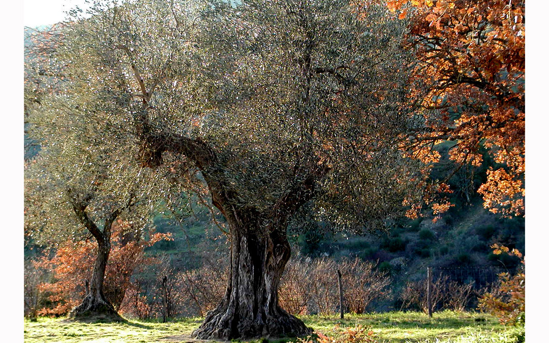 Corso di Fotografia di Paesaggio a Roma