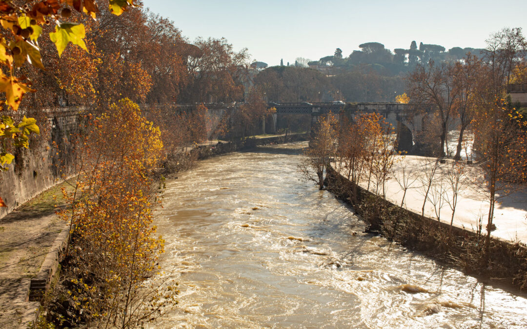 Area Utenti Avanzata